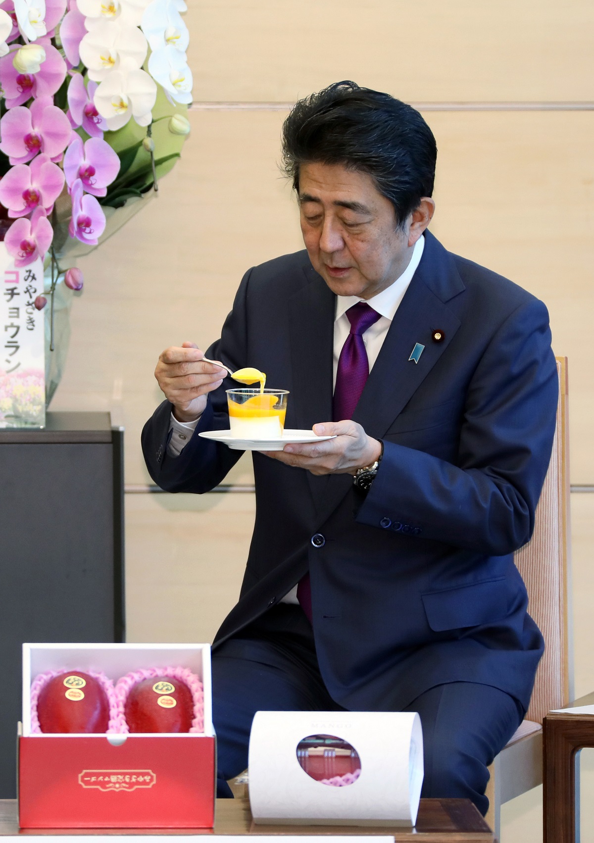 表敬を受ける安倍総理４