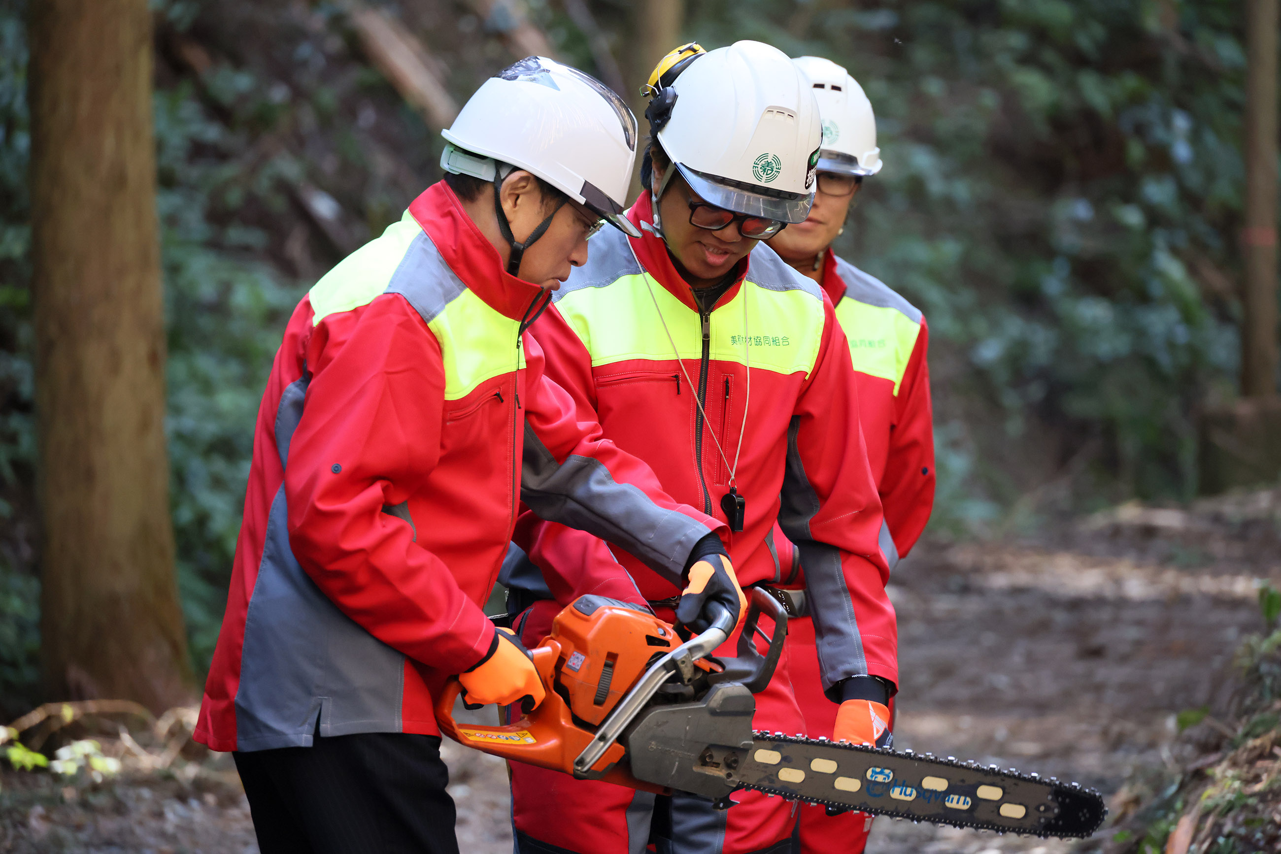 伐採・造林作業を視察する岸田総理４